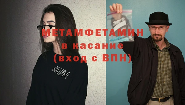 шишки Корсаков