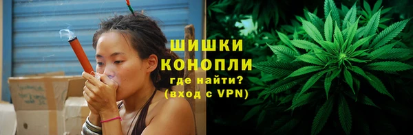 шишки Корсаков