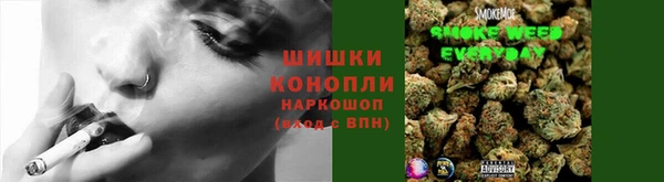 прущие крисы Коряжма