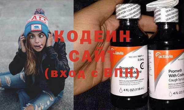 шишки Корсаков