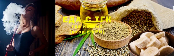 шишки Корсаков